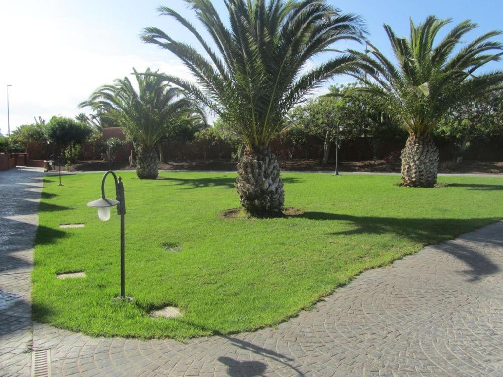 Villa Moleiro- La Tejita Exteriör bild